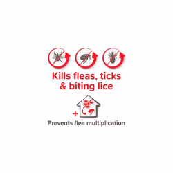 | FIPROtec COMBO for Cats & Kittens | Kills Fleas, Flea Eggs & Ticks | Stops Fleas Multiplying on Pet and in Home | Vet Strength Treatment | 6