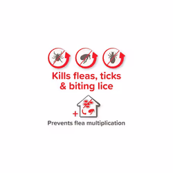 | FIPROtec COMBO for Large Dogs (20-40kg) | Kills Fleas, Flea Eggs & Ticks | Stops Fleas Multiplying on Pet and in Home | Vet Strength Treatment | 6