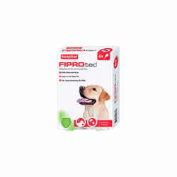 Beaphar Fiprotec Spot On Large Dog, 6 Pipettes