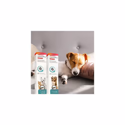 Beaphar IntestoPro Paste for Dogs