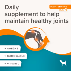 Beaphar Flexifit Dog Treats Maintains Flexible Joints & Strong Bones