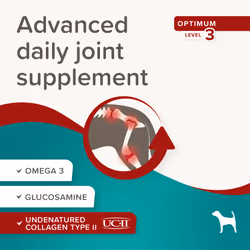 Beaphar Flexifit Dog Chews Advanced Joint Supplement