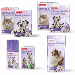 Beaphar Calming Spot-On for Dogs