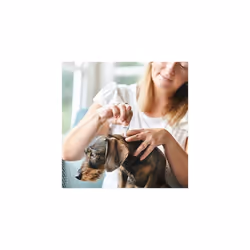 | FIPROtec COMBO for Large Dogs (20â40kg) | Kills Fleas, Flea Eggs & Ticks | Stops Fleas Multiplying on Pet and in Home | Vet Strength Treatment |