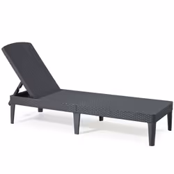 VidaXL 420017, Lounge, Padded seat, Polypropylene (PP), Graphite, 110 kg, 580 mm