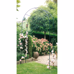 rosebow dark green 140x240cm