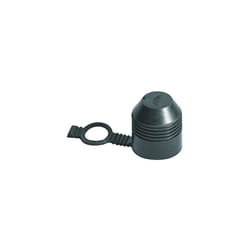Carpoint CPT0410108 Towing Hook Cover