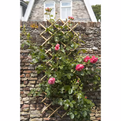 Nature Garden Trellis 100x200cm Bamboo Expanding Fence Panel Pergolas 6040722