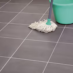 HG Tile Cleaner