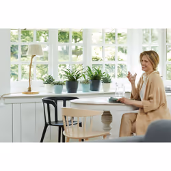 elho Brussels Round Indoor Pot planter Freestanding Polypropylene (PP) White