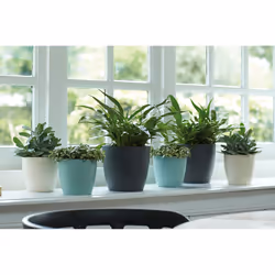 elho Brussels Round Indoor Pot planter Freestanding Polypropylene (PP) White