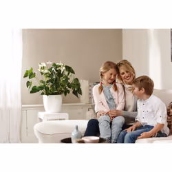 elho Brussels Round Indoor Pot planter Freestanding Polypropylene (PP) White - Additional view 4