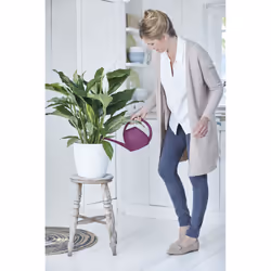 elho Brussels Round Indoor Pot planter Freestanding Polypropylene (PP) White - Additional view 7