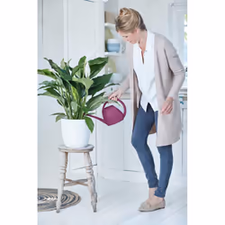 elho brussels round 25cm Indoor Pot planter Freestanding Polypropylene (PP) White - Additional view 5