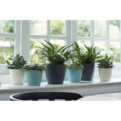 elho brussels round 30cm Indoor Pot planter Freestanding Polypropylene (PP) Anthracite - Additional view 6