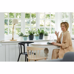 elho brussels round 30cm Indoor Pot planter Freestanding Polypropylene (PP) Anthracite - Additional view 7