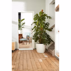 elho brussels round wheels 40cm Indoor Pot planter Freestanding Polypropylene (PP) White - Additional view 6