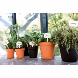 elho Green Basics Growpot 19cm - Additional view 4