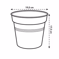 elho Green Basics Growpot 19cm - Additional view 6