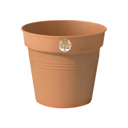 elho Green basics growpot 30cm, Pot planter, Freestanding, Plastic, Brown, Cylinder, Indoor/outdoor