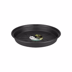 elho Green Basics Saucer 25cm