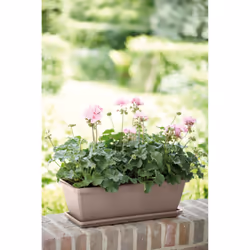 elho Barcelona Trough Saucer 50cm - Additional view 3
