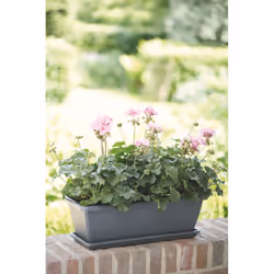 elho barcelona trough saucer 50cm - Additional view 5