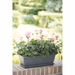 elho Barcelona Trough Saucer 70cm - Additional view 4