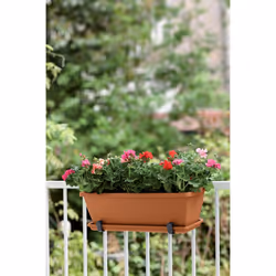 elho barcelona trough 70cm Outdoor Pot planter Freestanding Polypropylene (PP) Terracotta