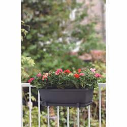 elho barcelona trough 70cm Outdoor Pot planter Freestanding Polypropylene (PP) Anthracite