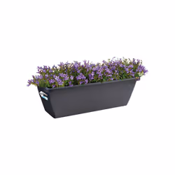 elho barcelona trough 90cm Outdoor Pot planter Freestanding Polypropylene (PP) Anthracite