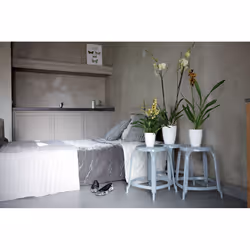 elho brussels diamond orchid high 12.5cm Indoor Pot planter Freestanding Polypropylene (PP) White - Additional view 5