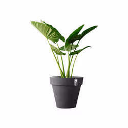elho pure round 40 Indoor/outdoor Pot planter Freestanding Linear low-density polyethylene (LLDPE) Anthracite