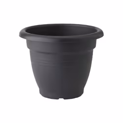 elho Green Basics Campana 50cm, Black, Plastic, Round, 100%, 100%, 4.8 m