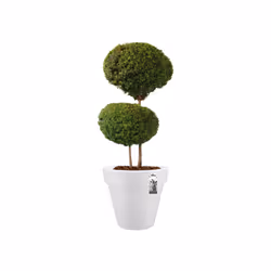 elho Pure Round 100cm