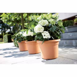 elho Green Basics Cilinder 45cm - Additional view 4