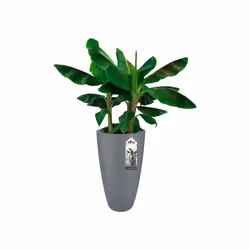 elho Pure Soft Round High 40cm