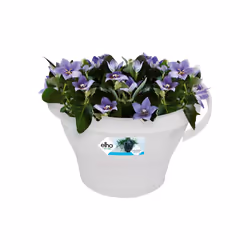 elho corsica drainpipe clicker 24cm Outdoor Pot planter Hanging Polypropylene (PP) White