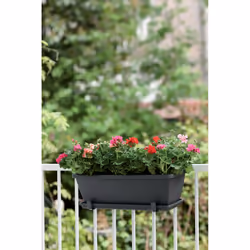 elho Barcelona Trough 40cm - Additional view 4