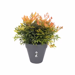 elho loft urban round 30 Outdoor Pot planter Freestanding Polypropylene (PP) Anthracite - Additional view 4