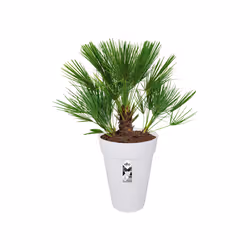 elho loft urban round high 35 Outdoor Pot planter Freestanding Polypropylene (PP) White