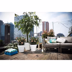 elho loft urban round 50 Outdoor Pot planter Freestanding Polypropylene (PP) White - Additional view 4