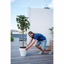 elho loft urban round 50 Outdoor Pot planter Freestanding Polypropylene (PP) White - Additional view 6