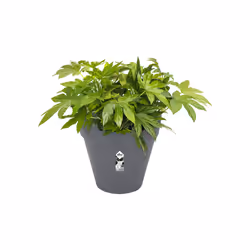 elho loft urban round 50 Outdoor Pot planter Freestanding Polypropylene (PP) Anthracite