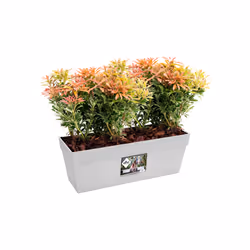 elho Loft Urban Trough 50cm