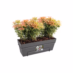 elho Loft Urban Trough Allin1 50cm