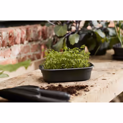 elho Green Basics Grow Tray S - Additional view 4