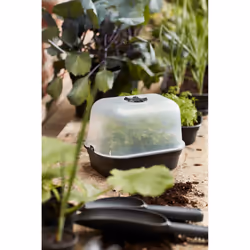 elho Green Basics Grow Tray S - Additional view 6
