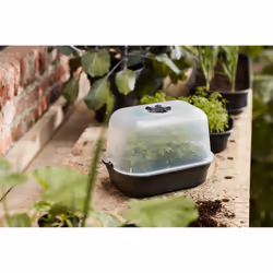elho Green Basics Grow Tray S - Additional view 7