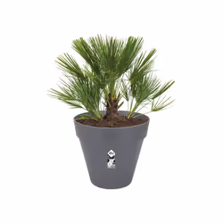elho loft urban round 60 Outdoor Pot planter Freestanding Polypropylene (PP) Anthracite - Additional view 3